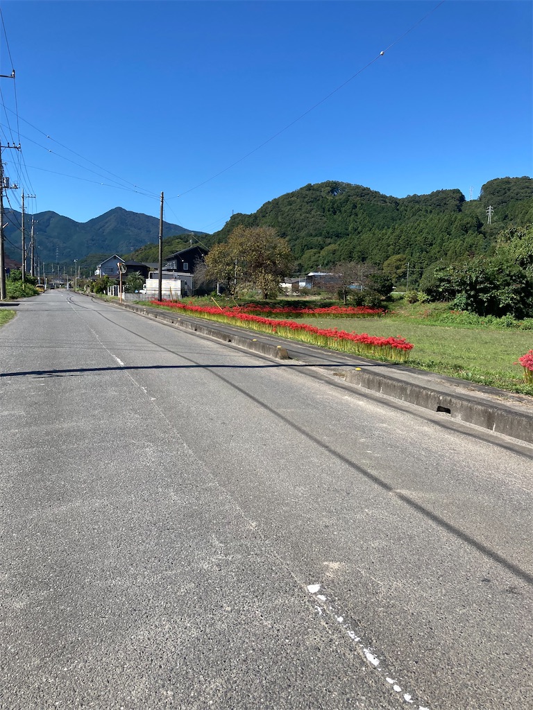 f:id:masaru-arameya:20210921142559j:image f:id:masaru-arameya:20210921142559j:image