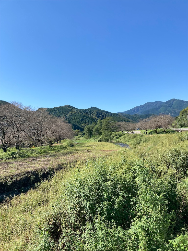 f:id:masaru-arameya:20210921142720j:image f:id:masaru-arameya:20210921142720j:image