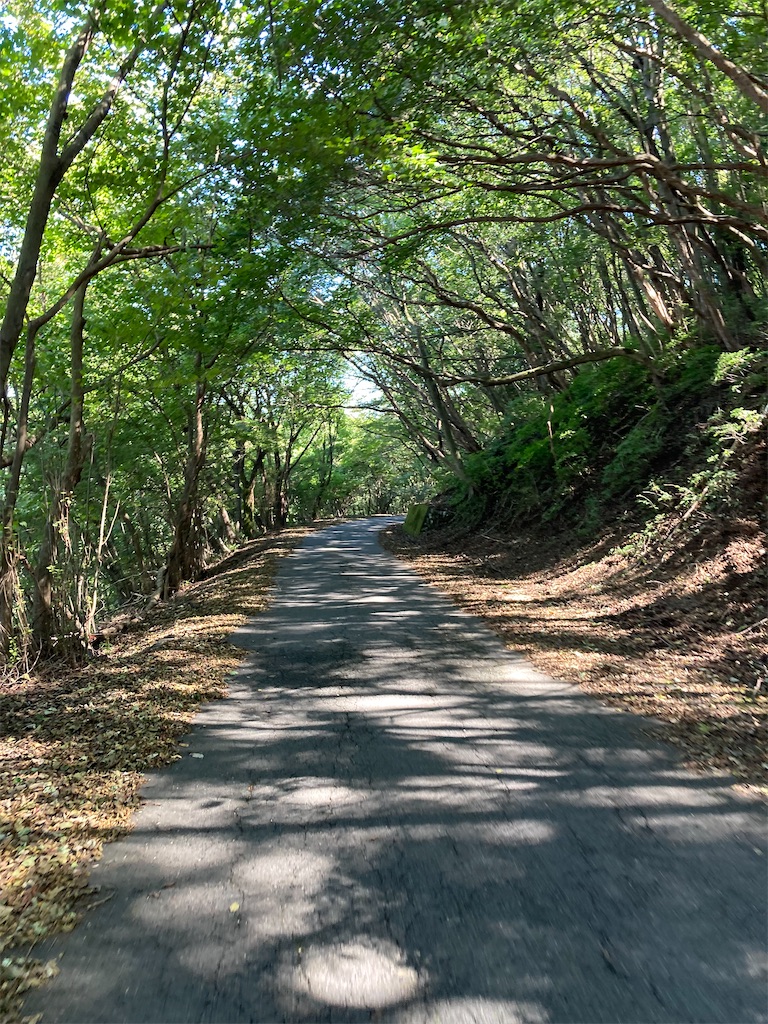f:id:masaru-arameya:20210921152057j:image f:id:masaru-arameya:20210921152057j:image