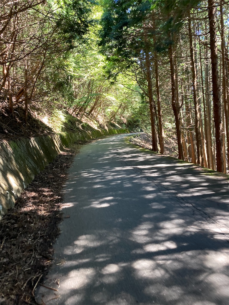 f:id:masaru-arameya:20210921152134j:image f:id:masaru-arameya:20210921152134j:image