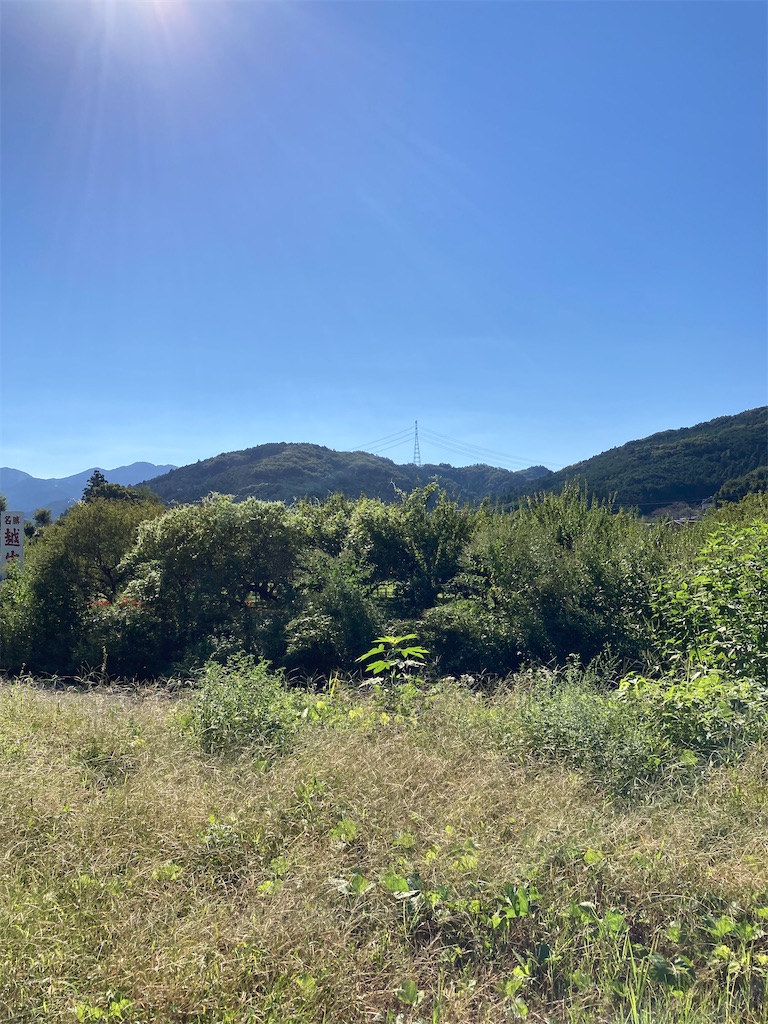 f:id:masaru-arameya:20210921152640j:image f:id:masaru-arameya:20210921152640j:image