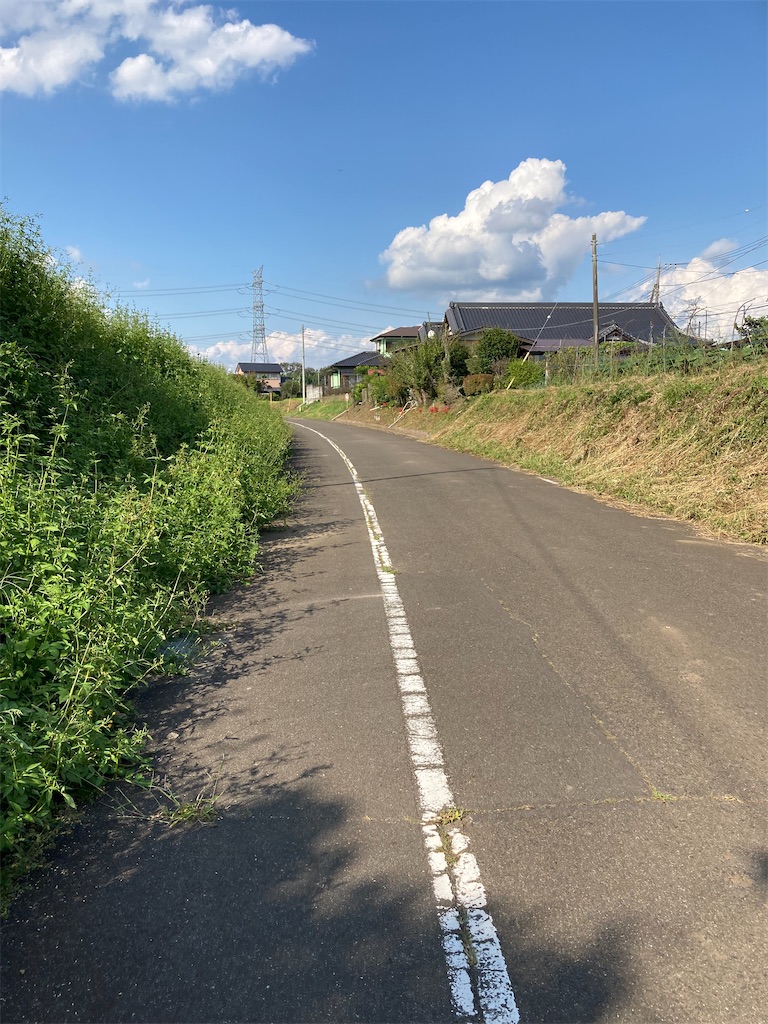 f:id:masaru-arameya:20210926190656j:image f:id:masaru-arameya:20210926190656j:image