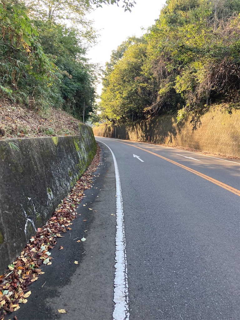 f:id:masaru-arameya:20210926193321j:image f:id:masaru-arameya:20210926193321j:image
