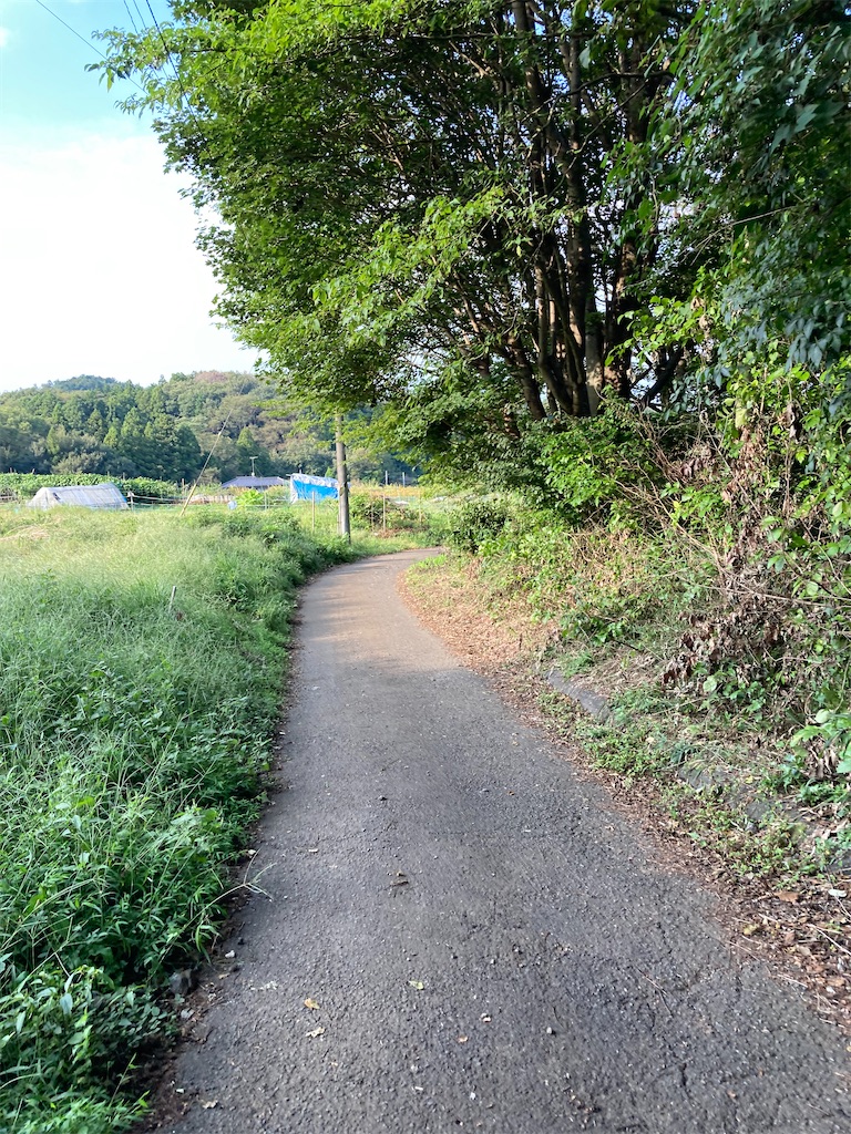 f:id:masaru-arameya:20210928103241j:image f:id:masaru-arameya:20210928103241j:image