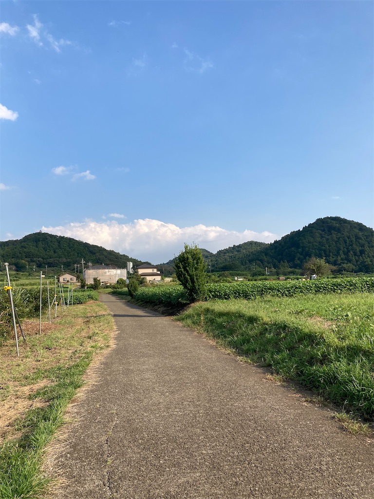 f:id:masaru-arameya:20210928103416j:image f:id:masaru-arameya:20210928103416j:image