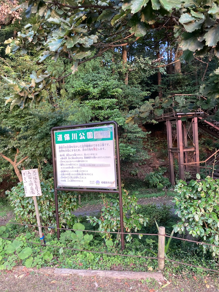f:id:masaru-arameya:20210928104042j:image f:id:masaru-arameya:20210928104042j:image