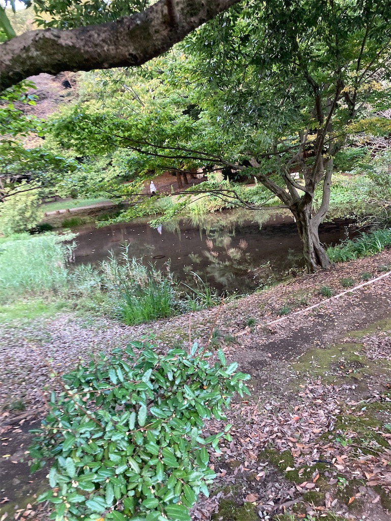 f:id:masaru-arameya:20210928104047j:image f:id:masaru-arameya:20210928104047j:image