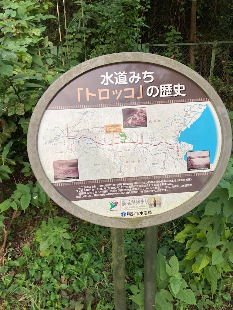 f:id:masaru-arameya:20210928104145j:image f:id:masaru-arameya:20210928104145j:image