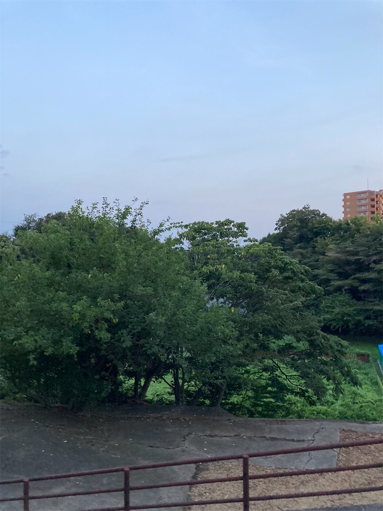 f:id:masaru-arameya:20210928115630j:image f:id:masaru-arameya:20210928115630j:image
