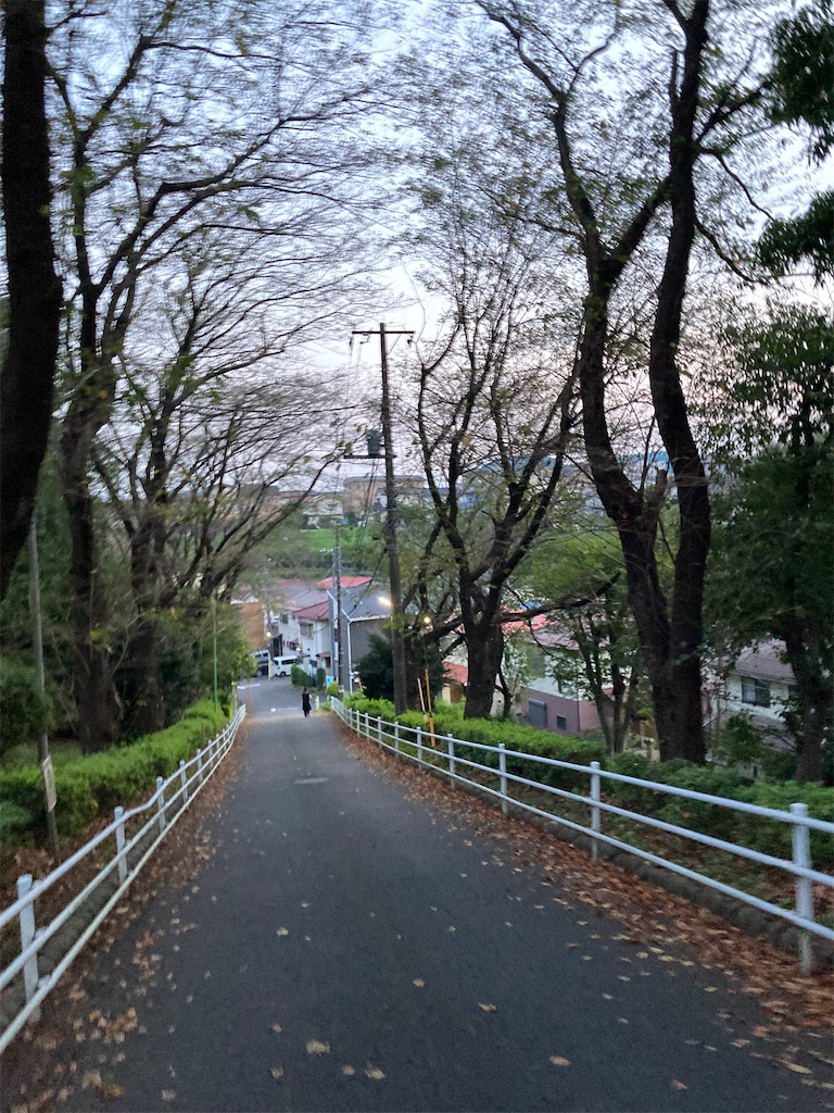 f:id:masaru-arameya:20210928115814j:image f:id:masaru-arameya:20210928115814j:image