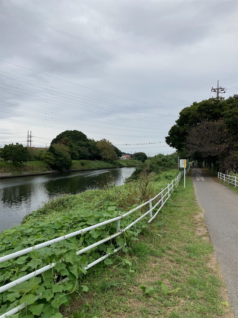 f:id:masaru-arameya:20210929081104j:image f:id:masaru-arameya:20210929081104j:image