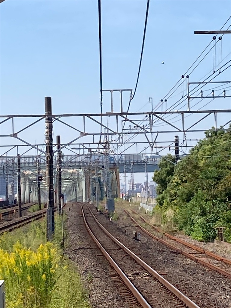 f:id:masaru-arameya:20211010141951j:image f:id:masaru-arameya:20211010141951j:image