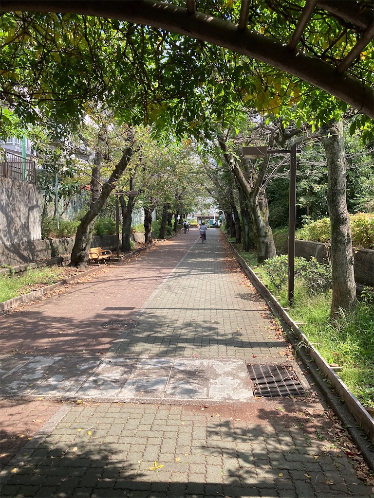 f:id:masaru-arameya:20211010143527j:image f:id:masaru-arameya:20211010143527j:image