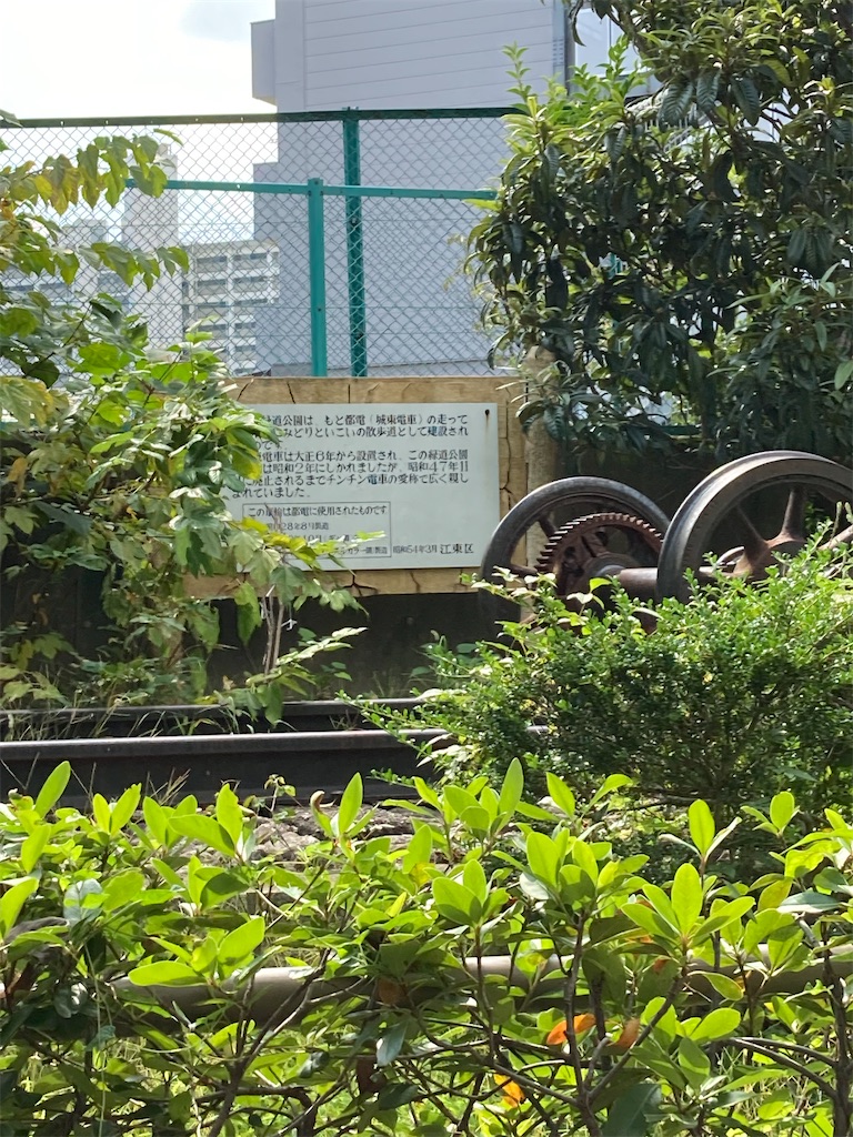 f:id:masaru-arameya:20211010143529j:image f:id:masaru-arameya:20211010143529j:image