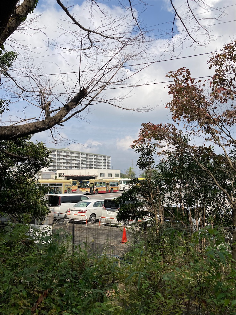 f:id:masaru-arameya:20211012055215j:image f:id:masaru-arameya:20211012055215j:image