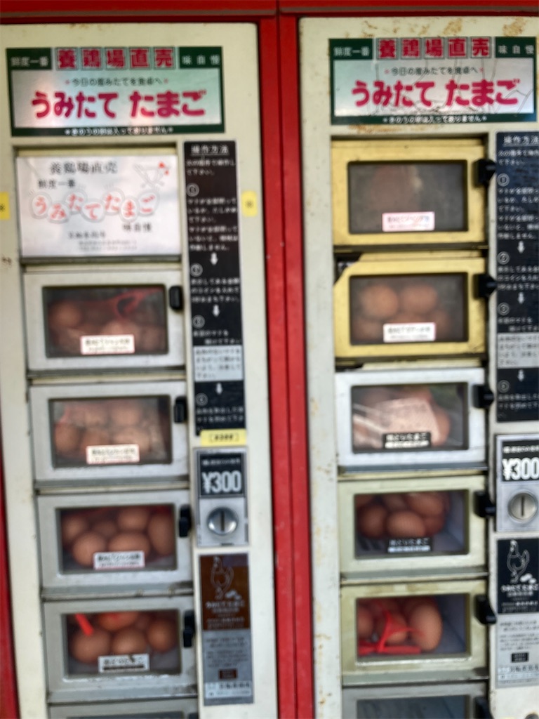 f:id:masaru-arameya:20211014130956j:image f:id:masaru-arameya:20211014130956j:image
