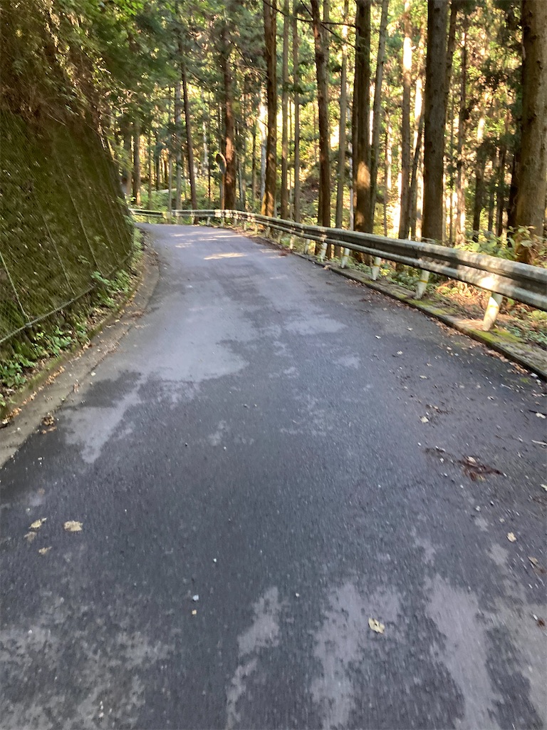 f:id:masaru-arameya:20211021092807j:image f:id:masaru-arameya:20211021092807j:image