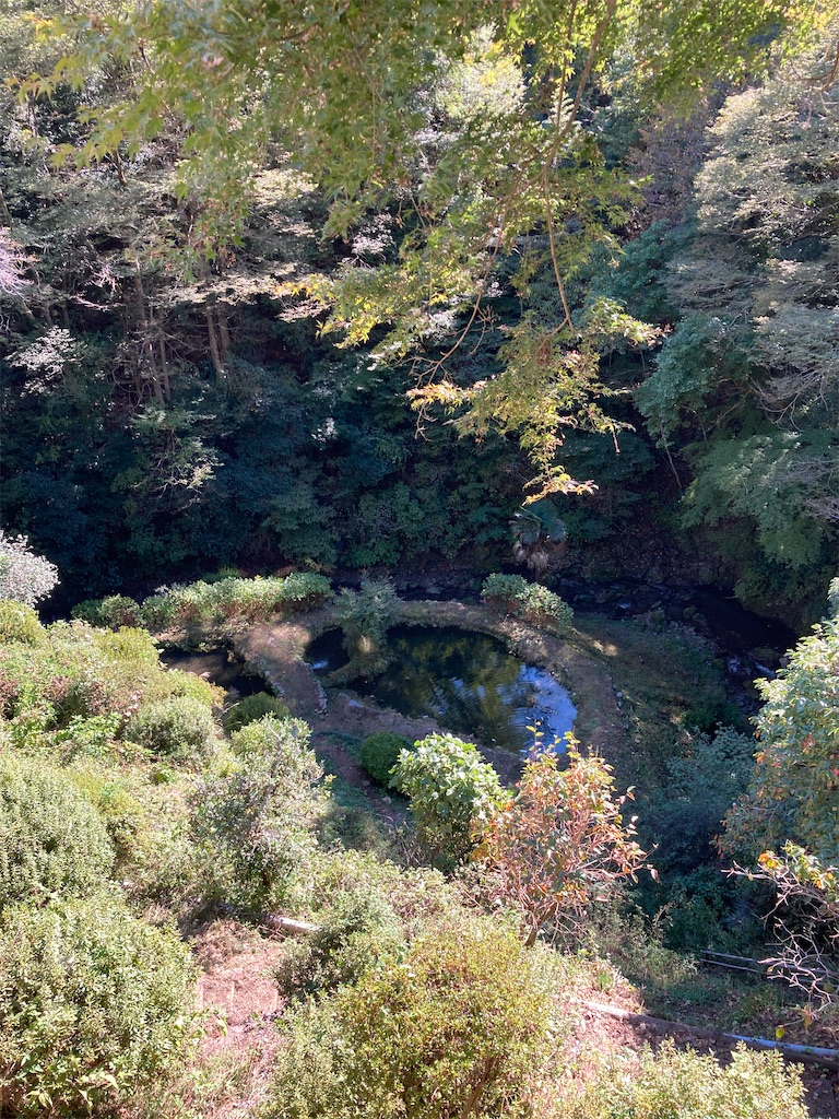 f:id:masaru-arameya:20211021093306j:image f:id:masaru-arameya:20211021093306j:image