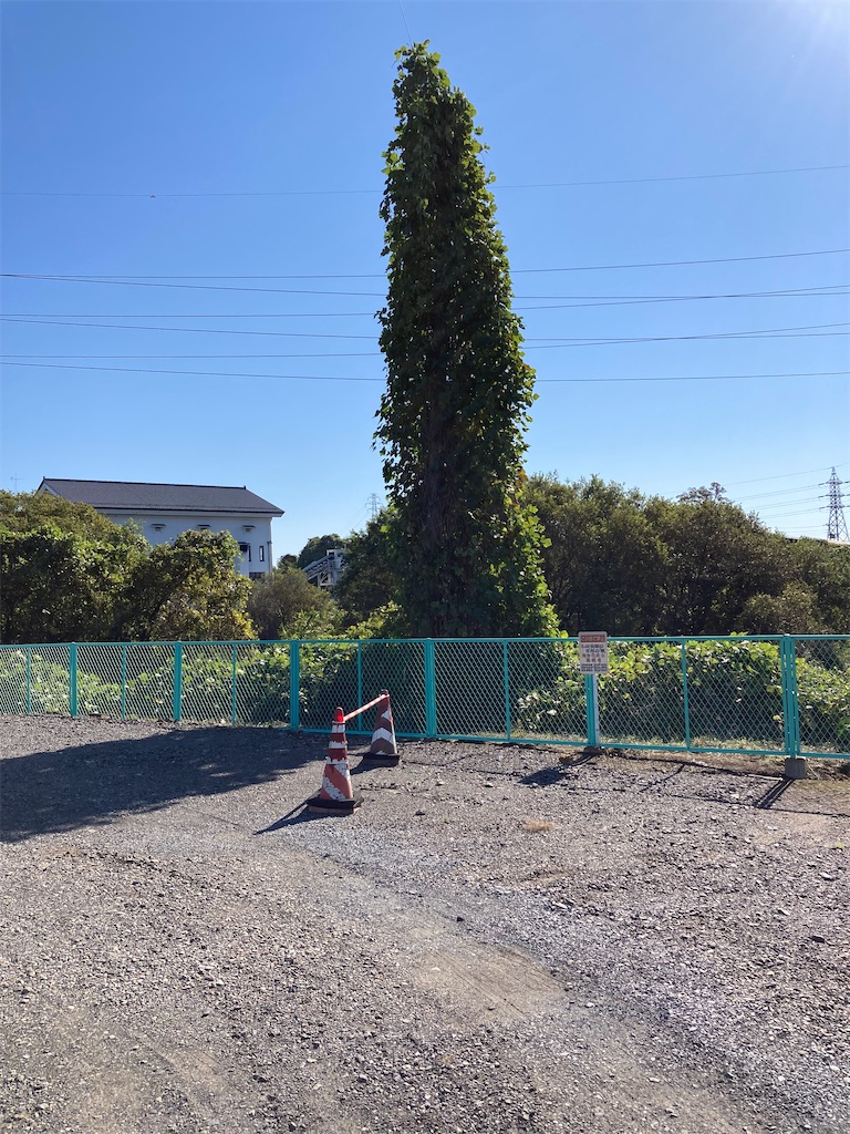 f:id:masaru-arameya:20211025202235j:image f:id:masaru-arameya:20211025202235j:image