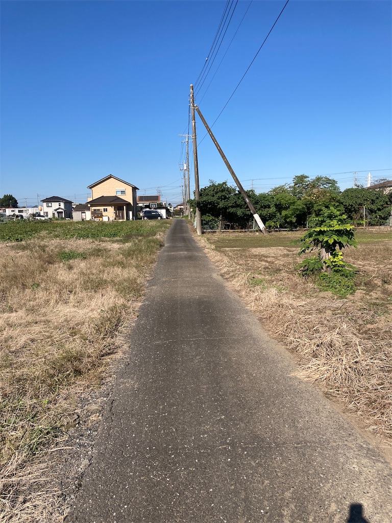 f:id:masaru-arameya:20211025202757j:image f:id:masaru-arameya:20211025202757j:image