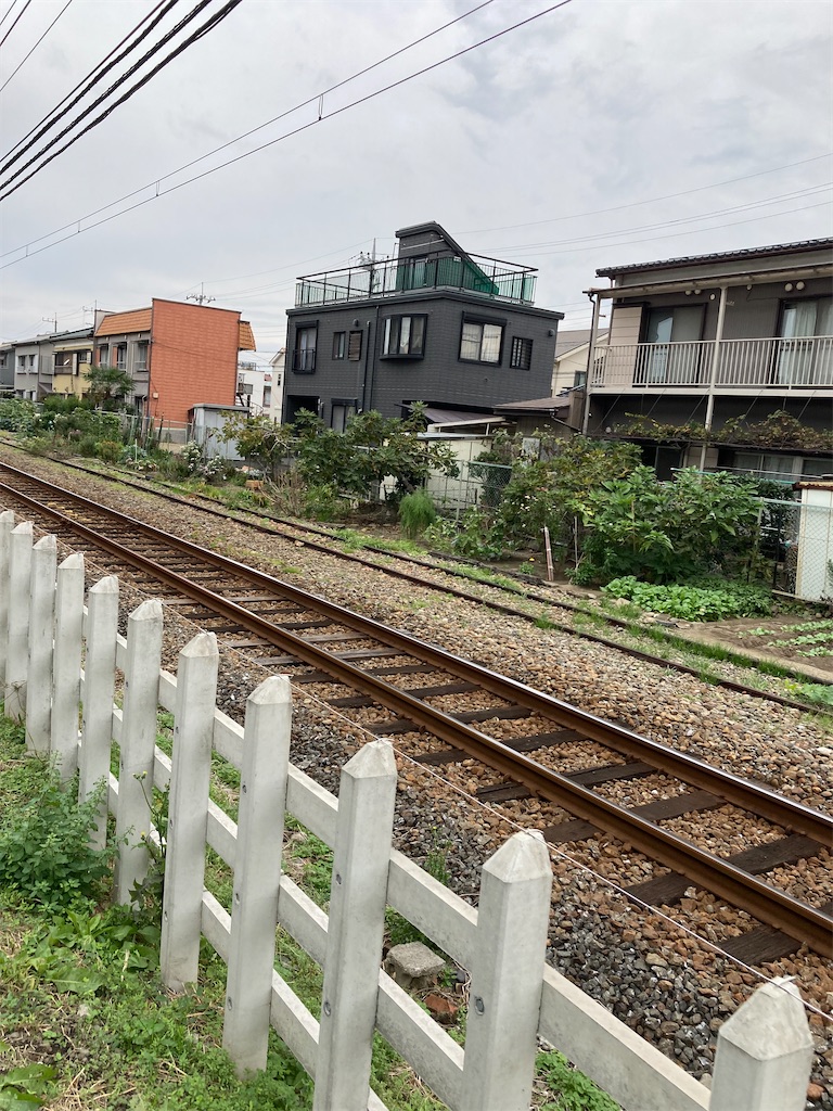 f:id:masaru-arameya:20211101125204j:image f:id:masaru-arameya:20211101125204j:image