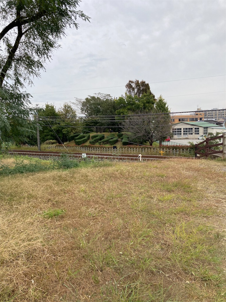 f:id:masaru-arameya:20211101125834j:image f:id:masaru-arameya:20211101125834j:image