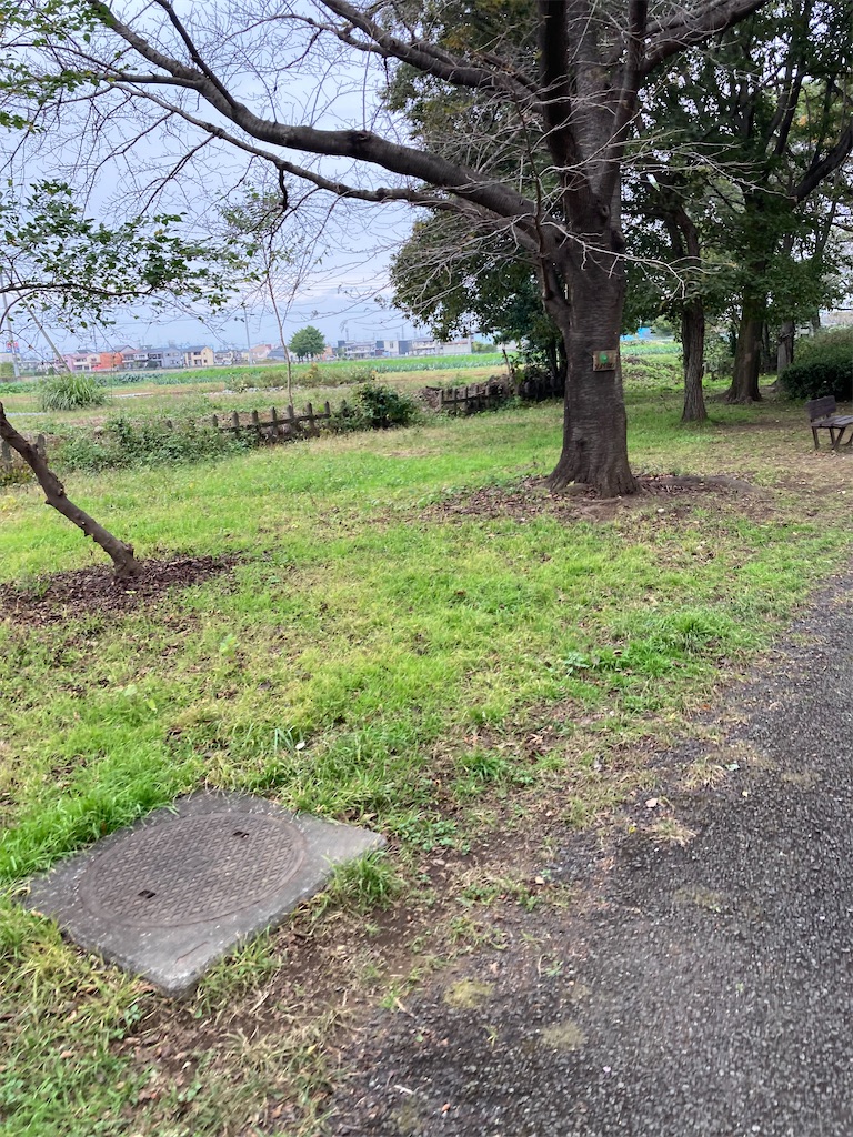 f:id:masaru-arameya:20211101125925j:image f:id:masaru-arameya:20211101125925j:image