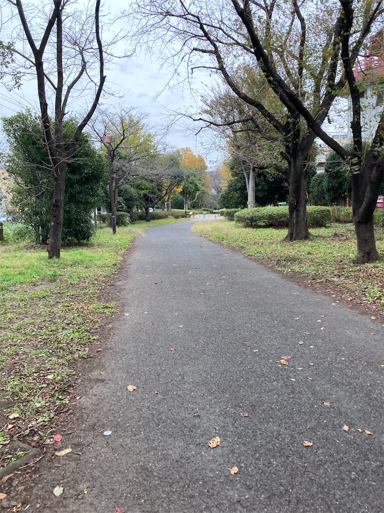 f:id:masaru-arameya:20211101125930j:image f:id:masaru-arameya:20211101125930j:image