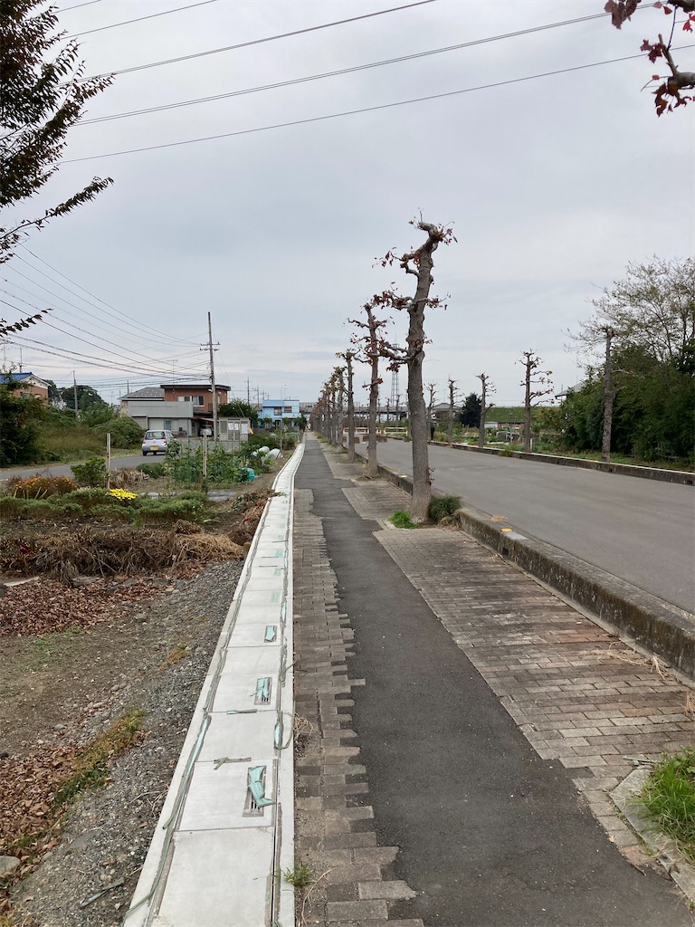 f:id:masaru-arameya:20211101130101j:image f:id:masaru-arameya:20211101130101j:image