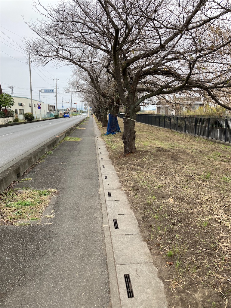 f:id:masaru-arameya:20211101135432j:image f:id:masaru-arameya:20211101135432j:image