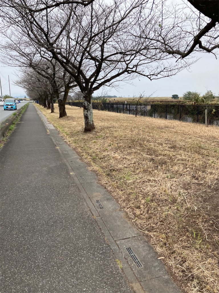f:id:masaru-arameya:20211101135435j:image f:id:masaru-arameya:20211101135435j:image