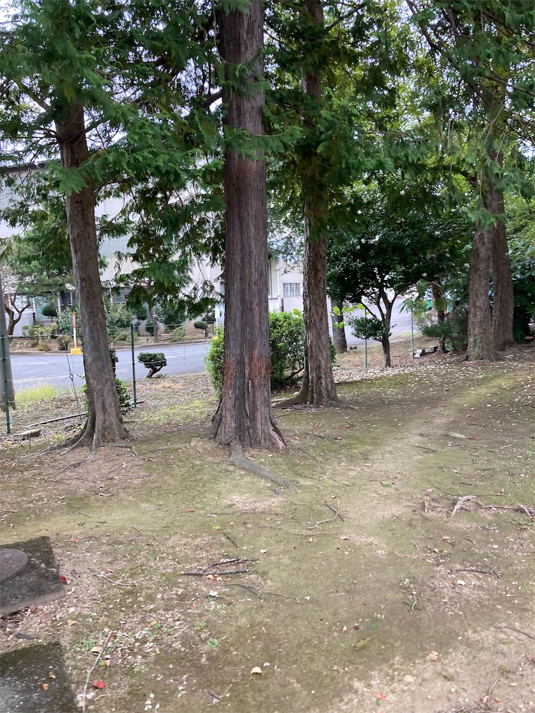 f:id:masaru-arameya:20211101141036j:image f:id:masaru-arameya:20211101141036j:image