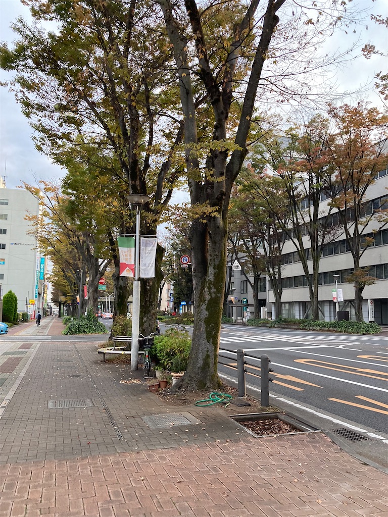 f:id:masaru-arameya:20211102084917j:image f:id:masaru-arameya:20211102084917j:image