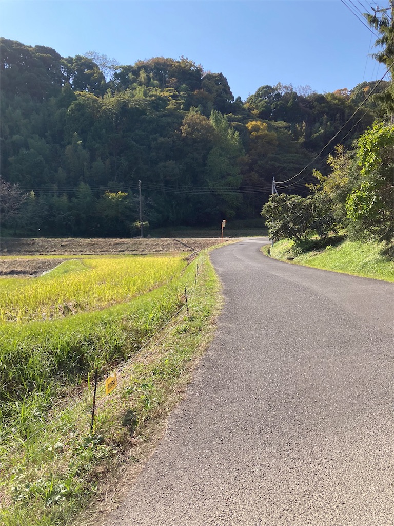 f:id:masaru-arameya:20211103192223j:image f:id:masaru-arameya:20211103192223j:image