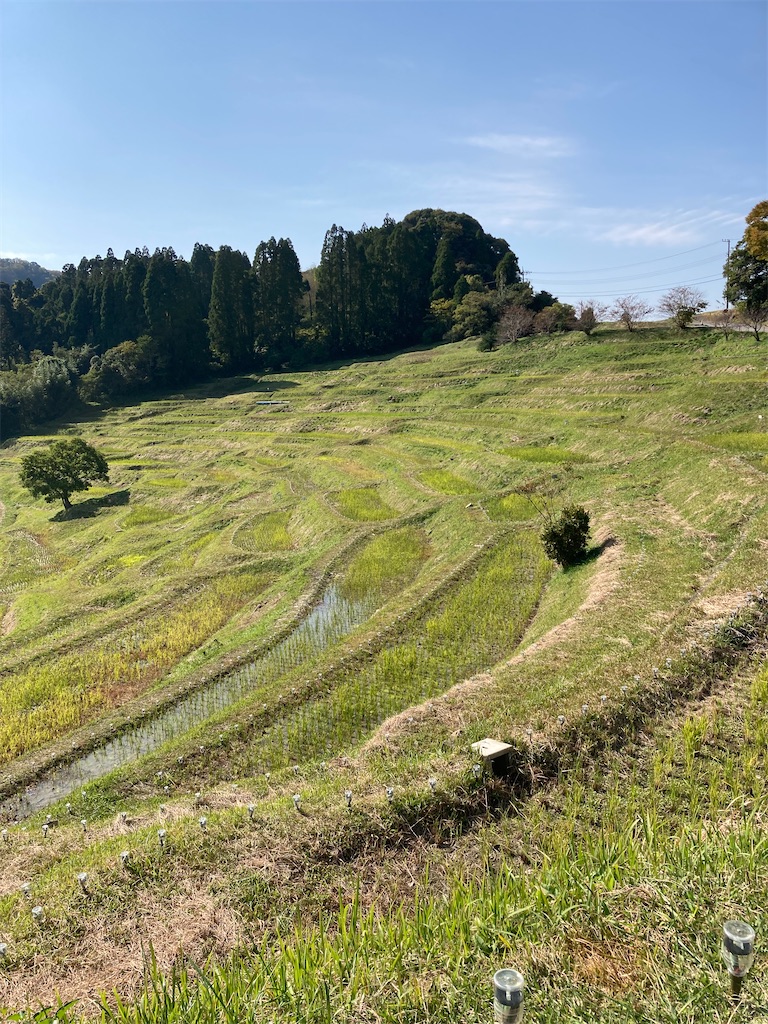 f:id:masaru-arameya:20211103192358j:image f:id:masaru-arameya:20211103192358j:image