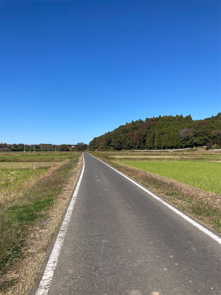 f:id:masaru-arameya:20211106165242j:image f:id:masaru-arameya:20211106165242j:image