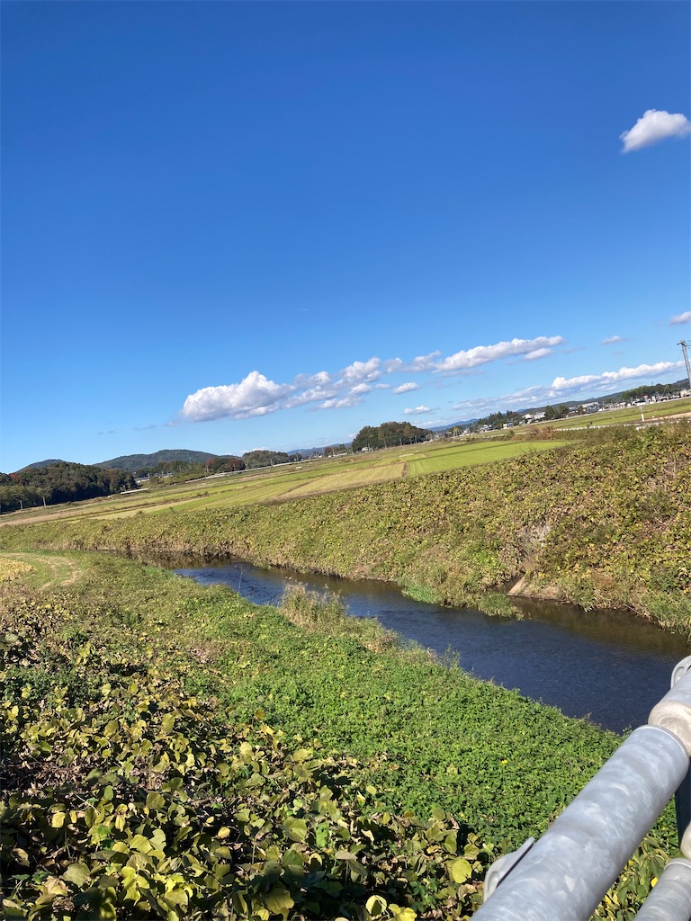 f:id:masaru-arameya:20211106170818j:image f:id:masaru-arameya:20211106170818j:image