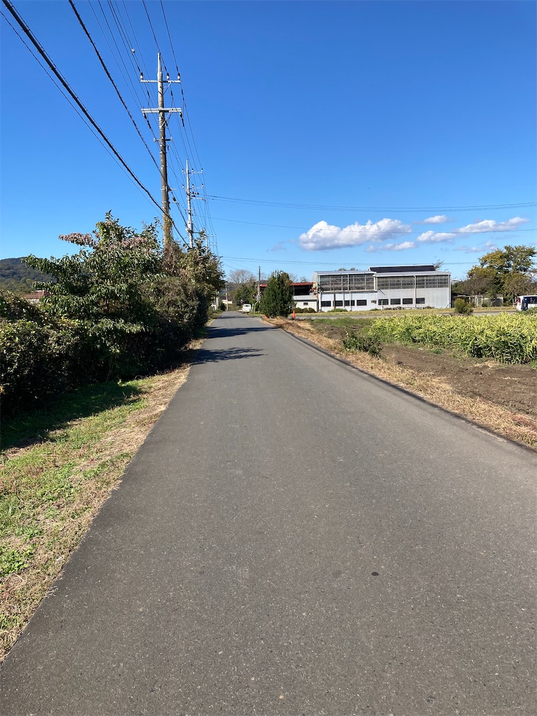 f:id:masaru-arameya:20211106171049j:image f:id:masaru-arameya:20211106171049j:image