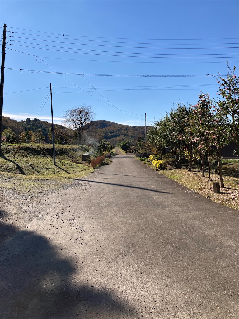 f:id:masaru-arameya:20211106172730j:image f:id:masaru-arameya:20211106172730j:image