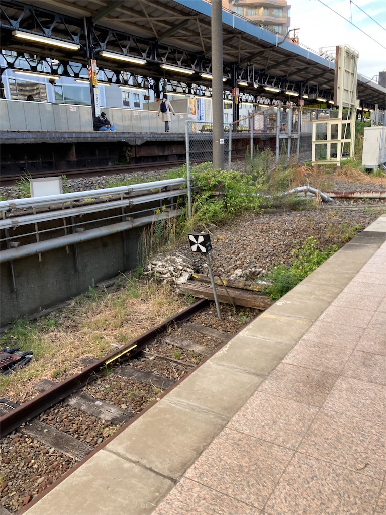 f:id:masaru-arameya:20211107092234j:image f:id:masaru-arameya:20211107092234j:image