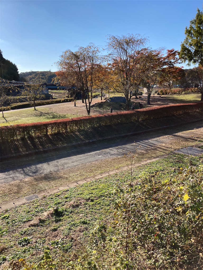 f:id:masaru-arameya:20211107184706j:image f:id:masaru-arameya:20211107184706j:image