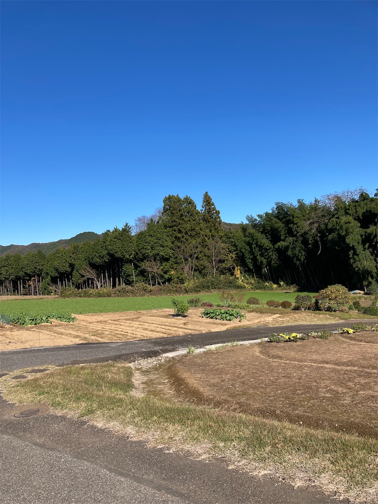 f:id:masaru-arameya:20211111084745j:image f:id:masaru-arameya:20211111084745j:image