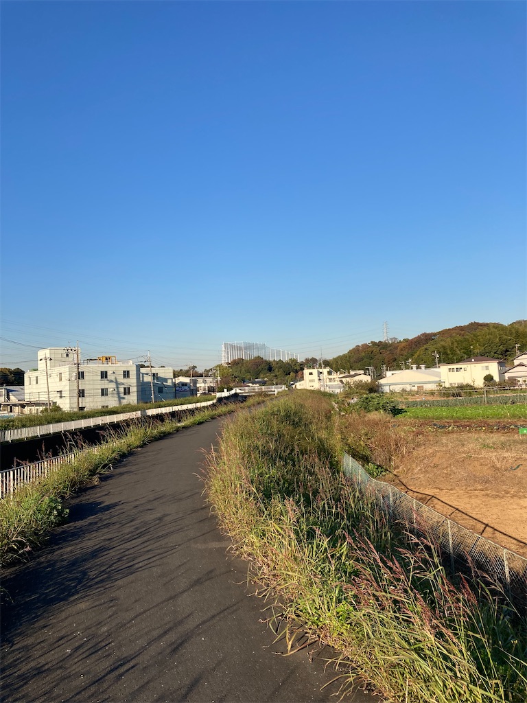 f:id:masaru-arameya:20211113210518j:image f:id:masaru-arameya:20211113210518j:image