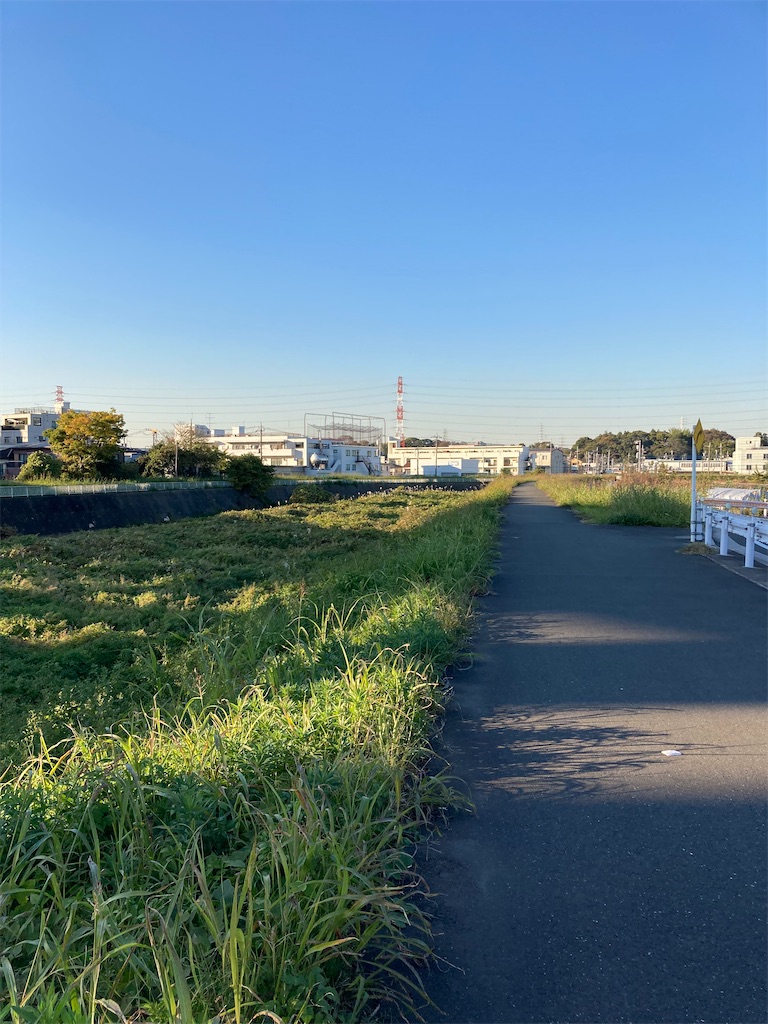 f:id:masaru-arameya:20211113210521j:image f:id:masaru-arameya:20211113210521j:image