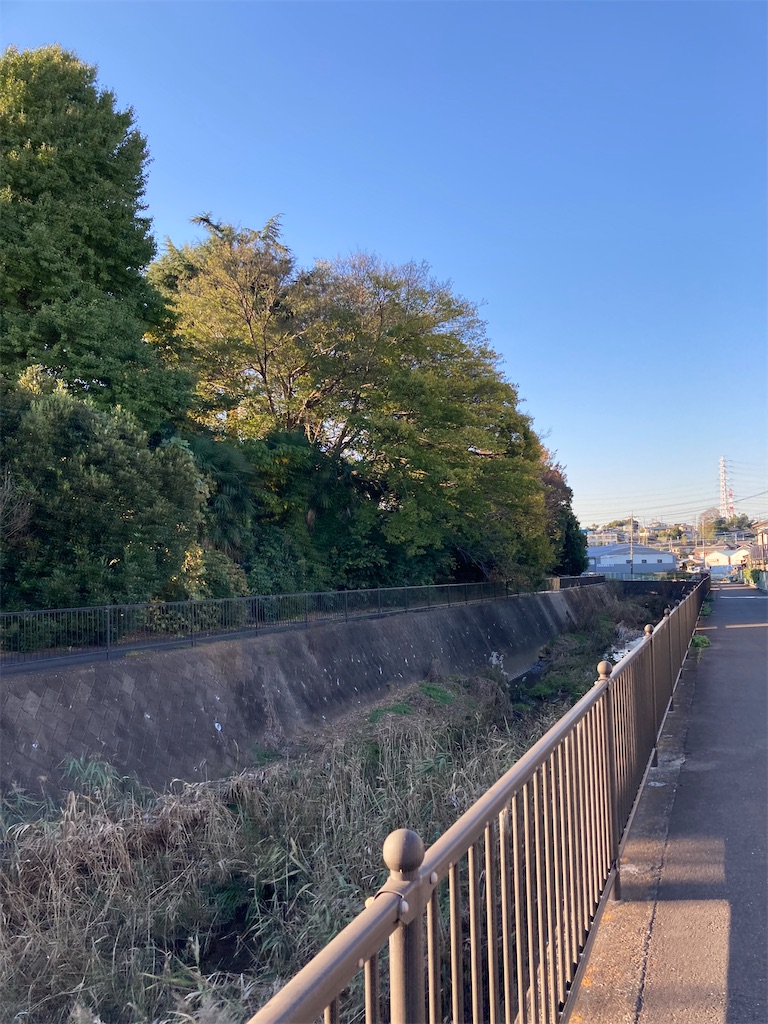 f:id:masaru-arameya:20211113210550j:image f:id:masaru-arameya:20211113210550j:image