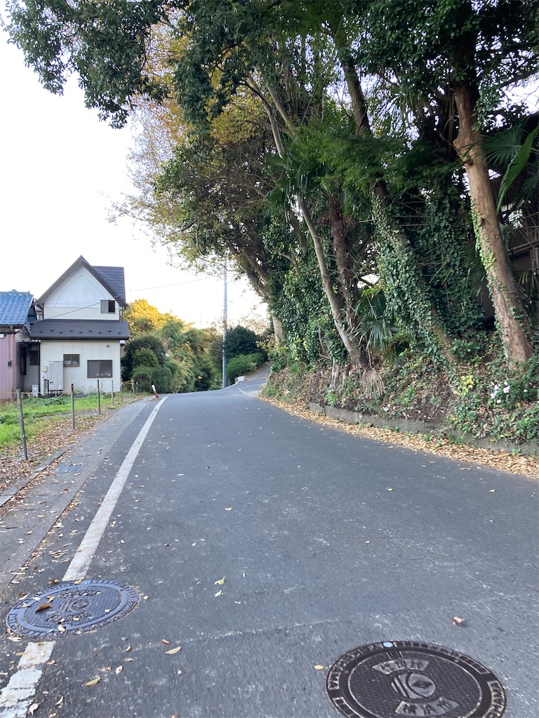 f:id:masaru-arameya:20211113210959j:image f:id:masaru-arameya:20211113210959j:image