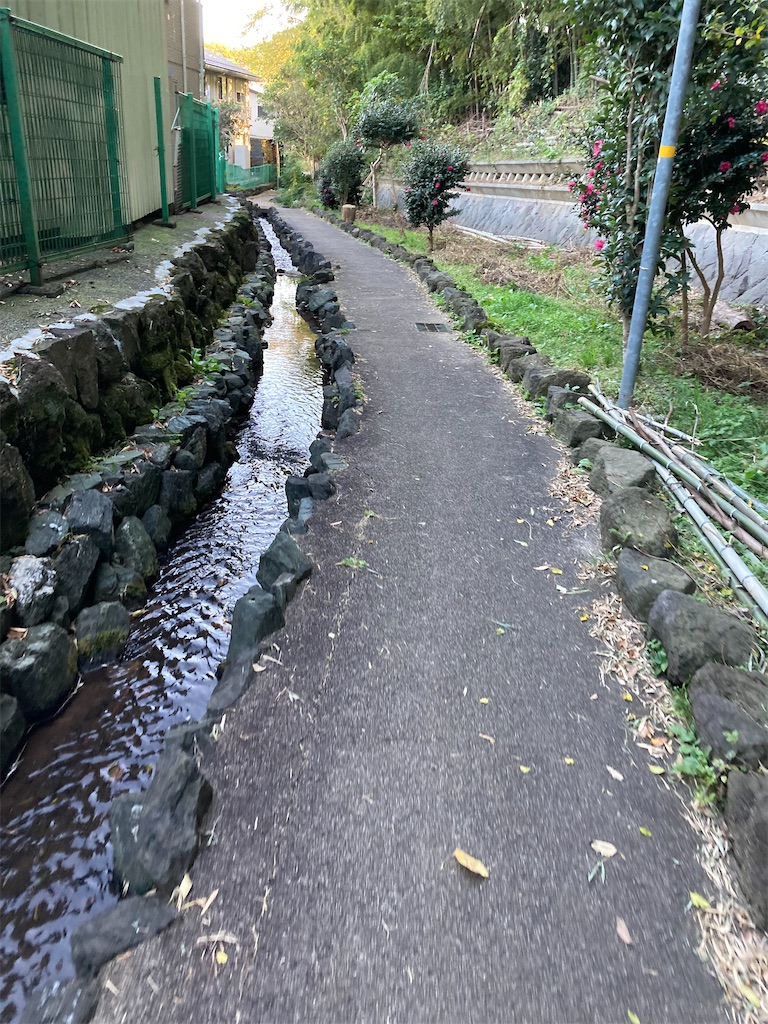 f:id:masaru-arameya:20211113211046j:image f:id:masaru-arameya:20211113211046j:image