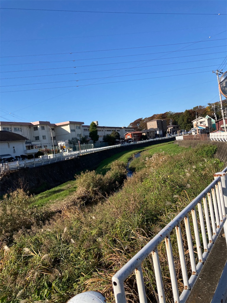 f:id:masaru-arameya:20211115065041j:image f:id:masaru-arameya:20211115065041j:image
