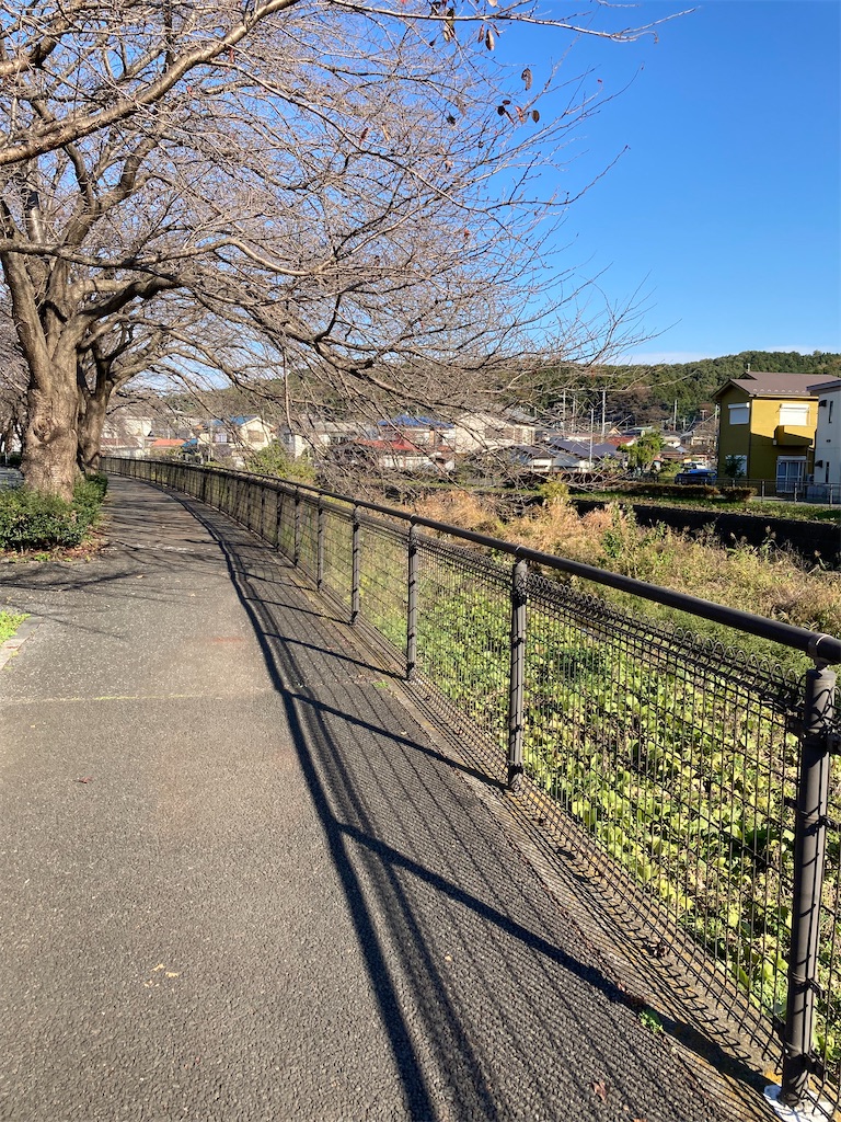 f:id:masaru-arameya:20211115065223j:image f:id:masaru-arameya:20211115065223j:image