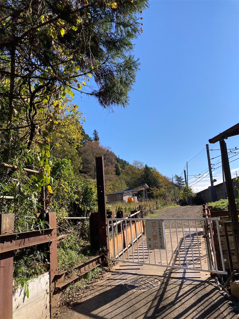 f:id:masaru-arameya:20211115070753j:image f:id:masaru-arameya:20211115070753j:image